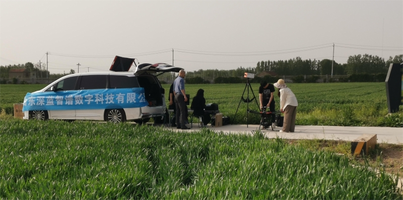 项目照片2:大田作业实地数据采集.jpg